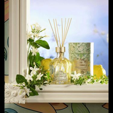 Sabon 白茶與桂花家居香薰 245ml