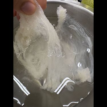特級官燕盞（大盞）
