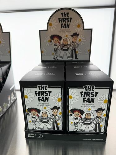 Toystory 遇上GD 小雛菊🌼 盲盒Keyring