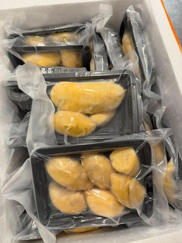 馬來西亞急凍D24蘇丹王榴槤肉！