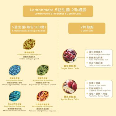 全新升級 🍋Lemonmate3.0 三重腸道管理檸檬茶1盒20包