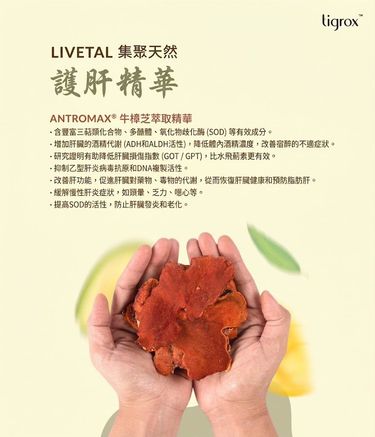 Tigrox Livetal 牛樟芝護肝王