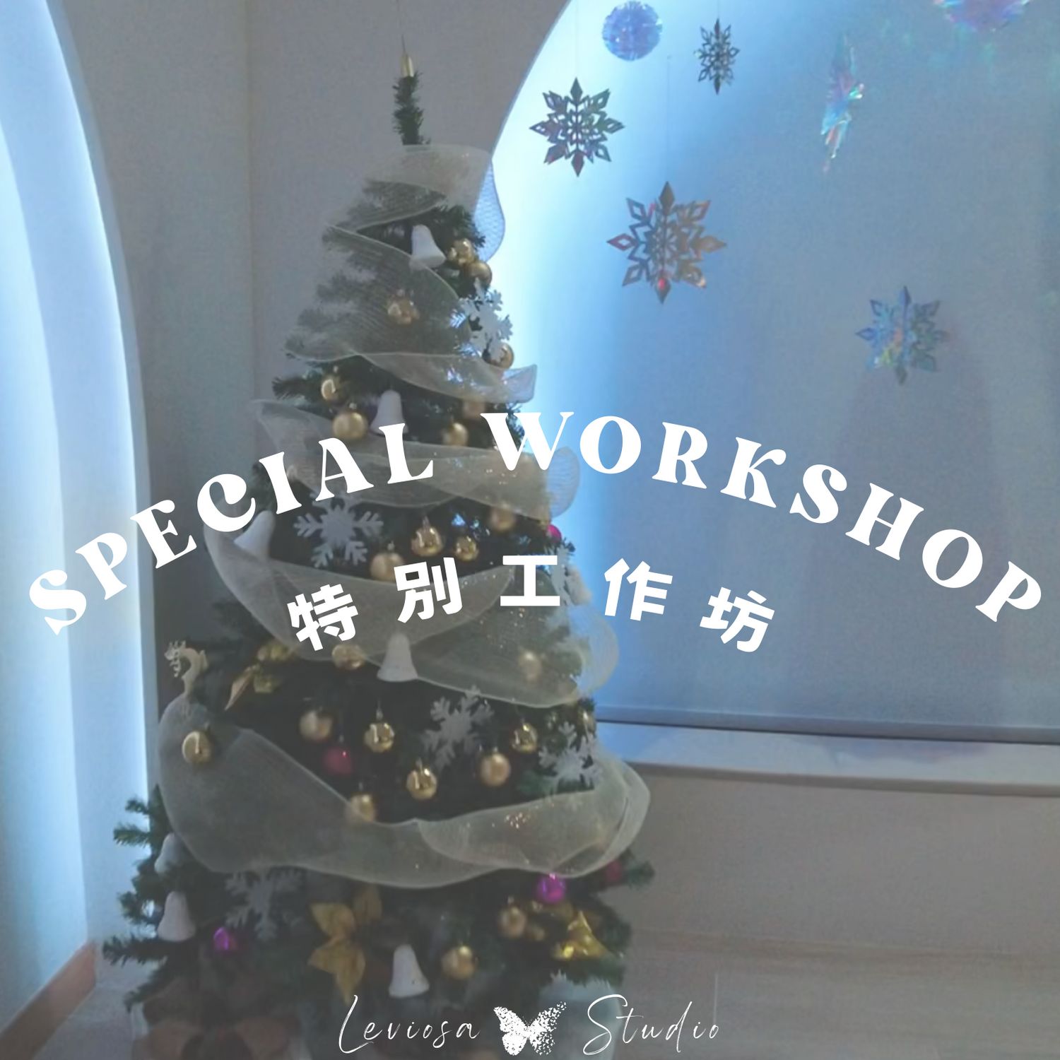 Couple Aerial Strength Workshop