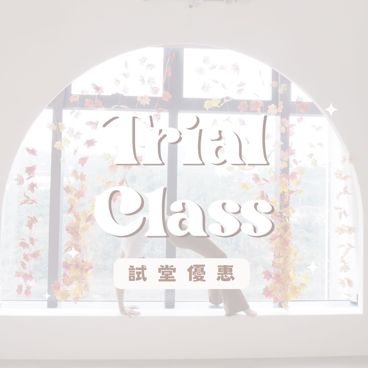 新生試堂優惠 Trial Class