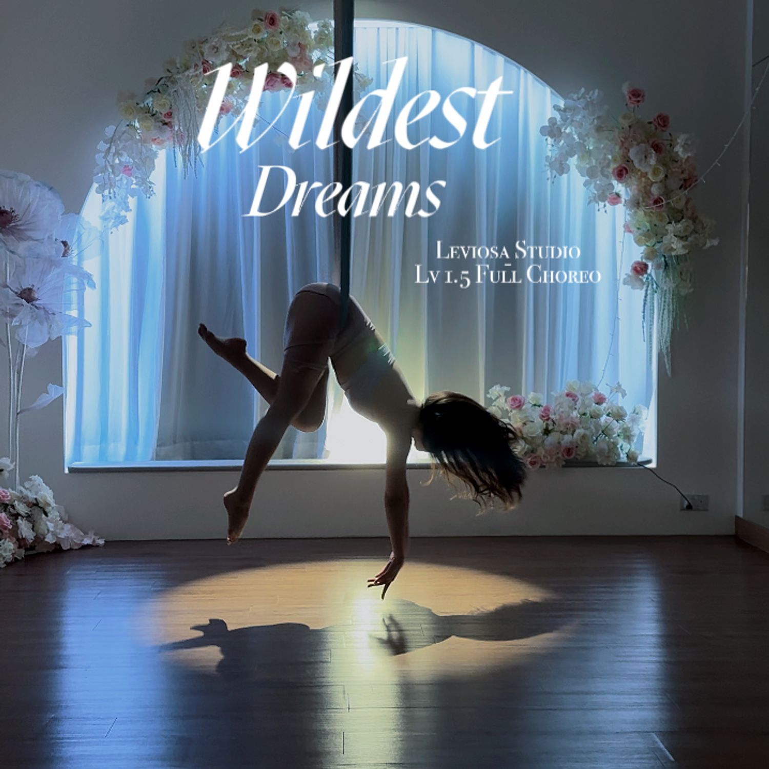 Wildest Dreams (Lv 1.5)
