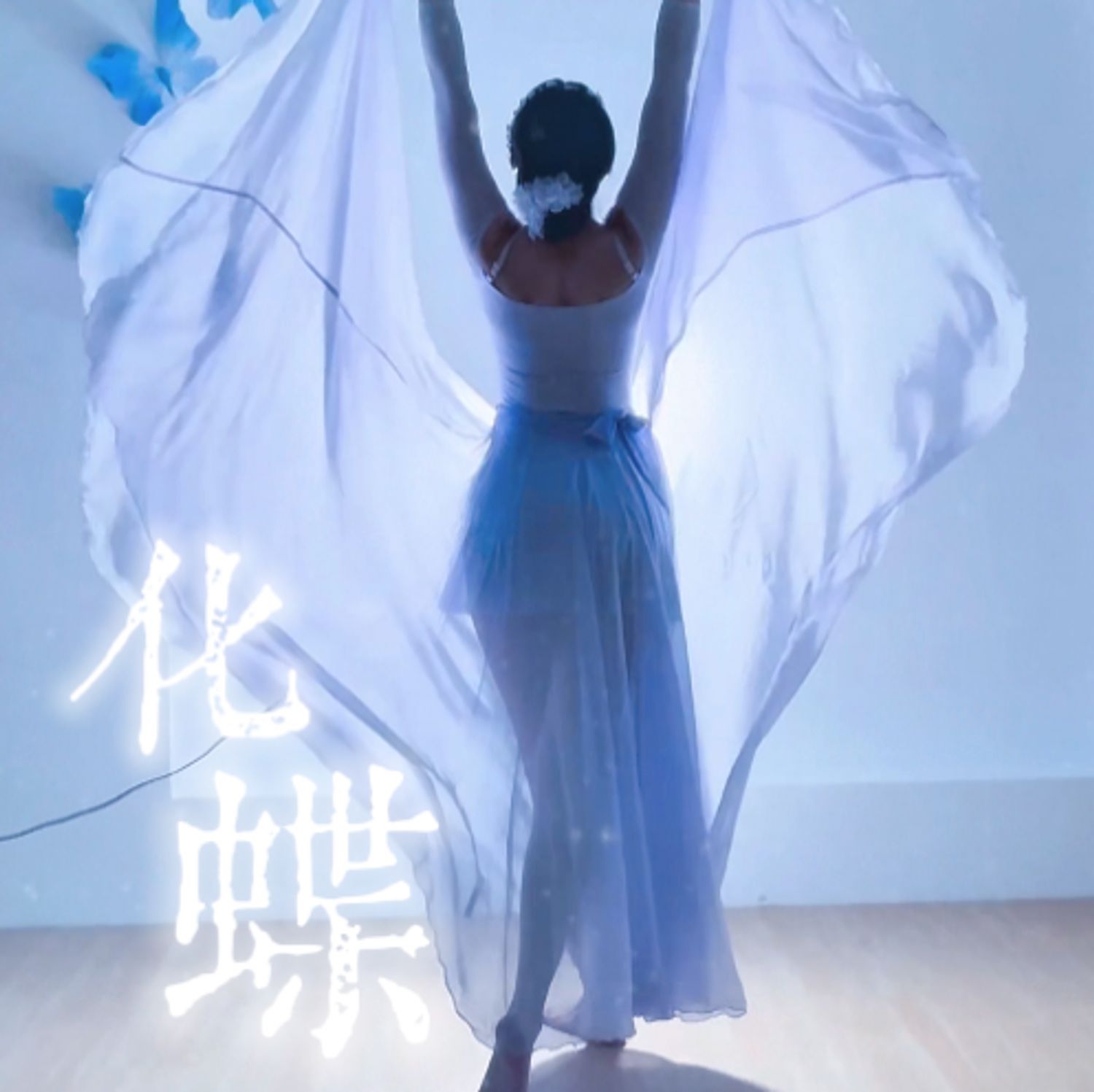 化蝶 - Hammock Choreography Course