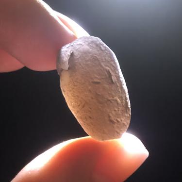 #Saffordite #天狼星石 9.32g
