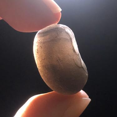 #Saffordite #天狼星石 9.57g