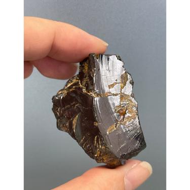 Elite Noble Shungite 27g