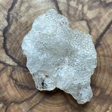 新品種#Opal #澳寶石 12.25g