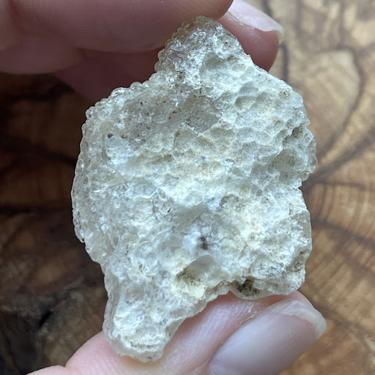 新品種#Opal #澳寶石 12.25g