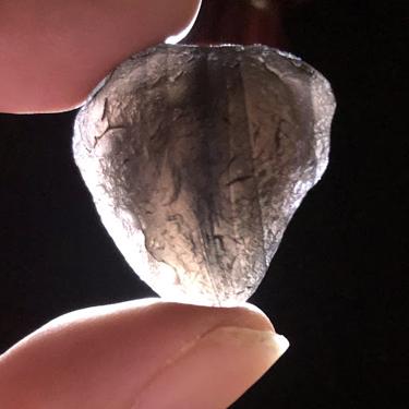 #Saffordite #天狼星石 10.24g