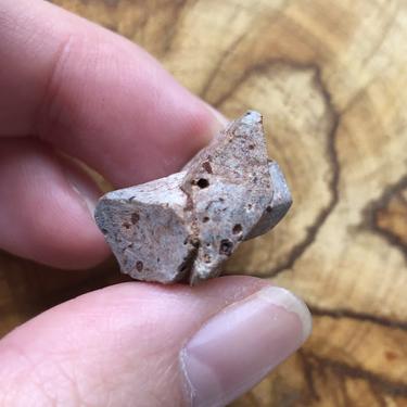 Staurolite 6.52g  in Rare Blue/ Grey colour Museum quality