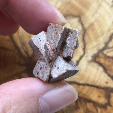 Staurolite 6.52g  in Rare Blue/ Grey colour Museum quality