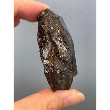 Elite  Shungite 28.53g