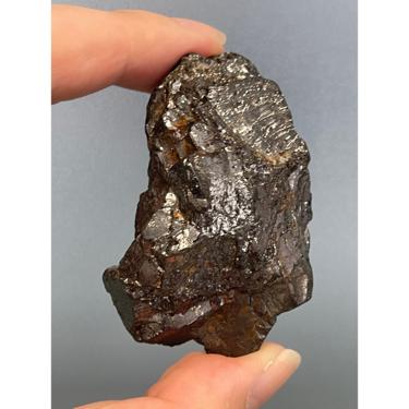 Elite  Shungite 28.53g