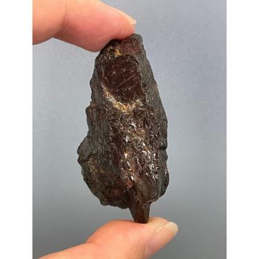 Elite  Shungite 28.53g