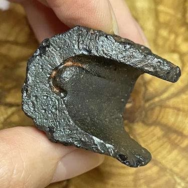 #Himalayan Tektite 25.14g