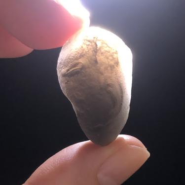 #Saffordite #天狼星石 9.37g