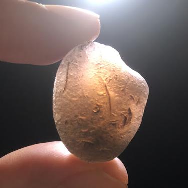 #Saffordite #天狼星石 9.72g