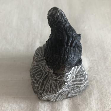 三葉蟲化石