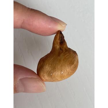 Rare New Found Stone 4.57g