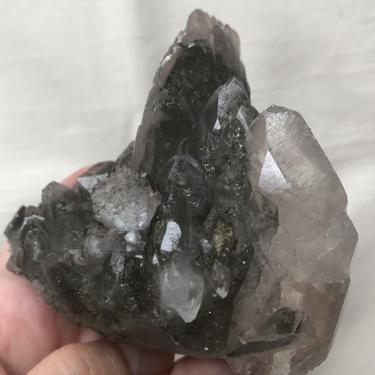Calcite & Pyrite (New Find)