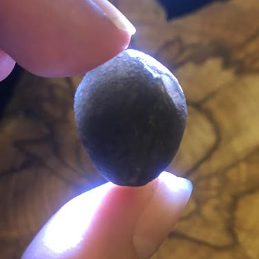 #Saffordite #天狼星石 6.42g