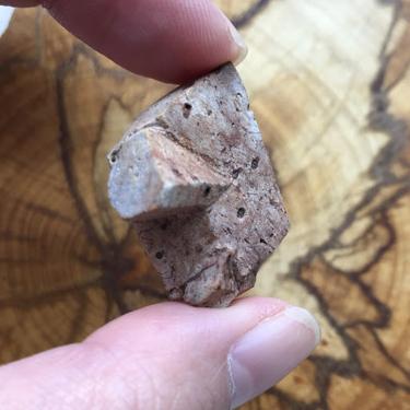Staurolite 8.39g in Rare Blue/ Grey colour Museum Quality