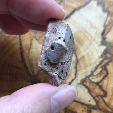 Staurolite 8.39g in Rare Blue/ Grey colour Museum Quality