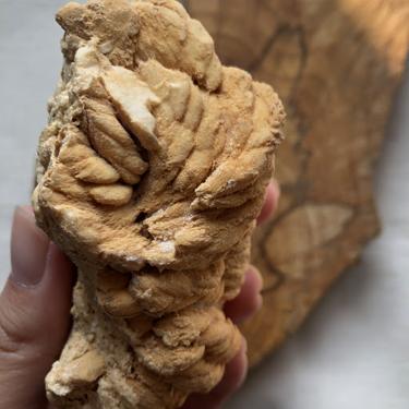 Calcite Intertwined rare piece 246g