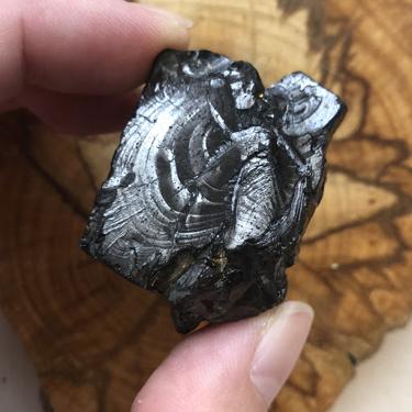 貴族次石墨 Elite Noble Shungite 22.7g