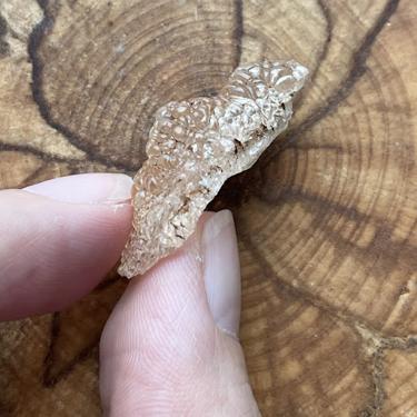 新品種#Opal #澳寶石 4.86g