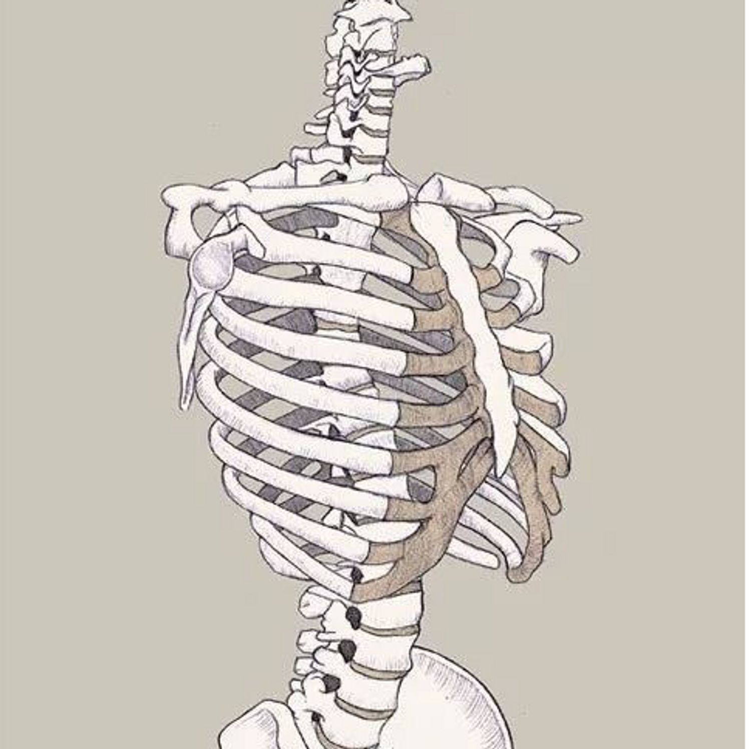 骨科