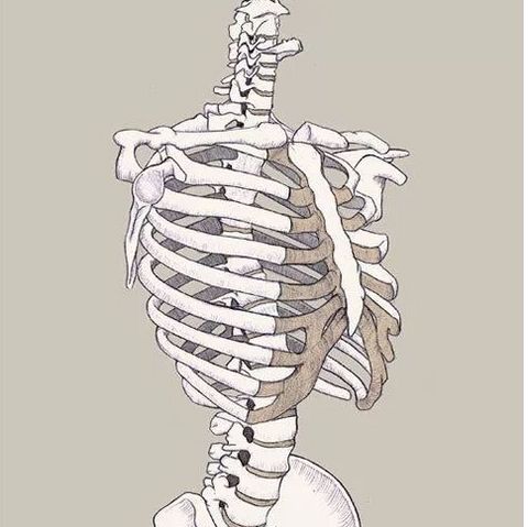 骨科