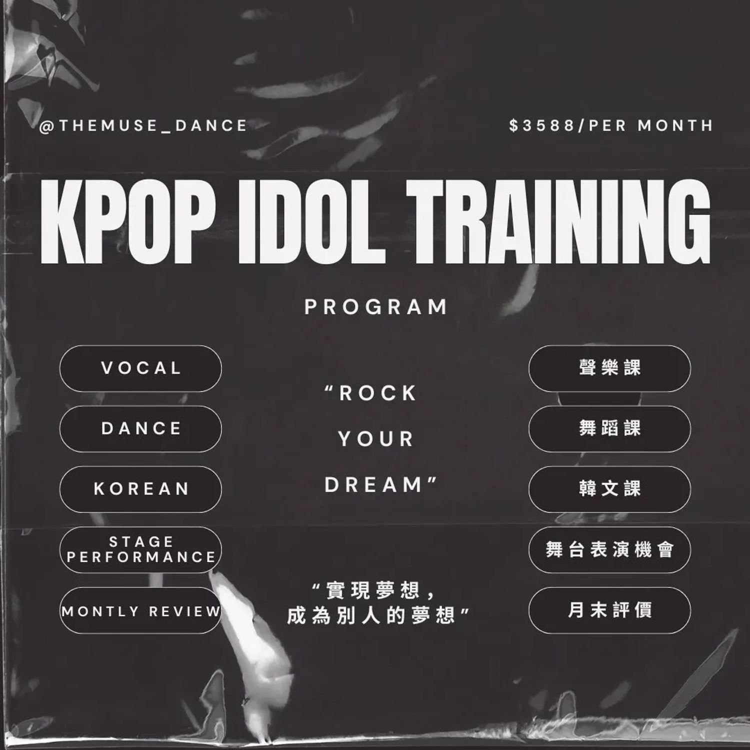 Kpop Idol Training Program