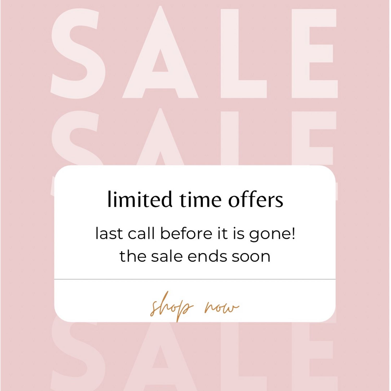 Limited Offer 限時優惠