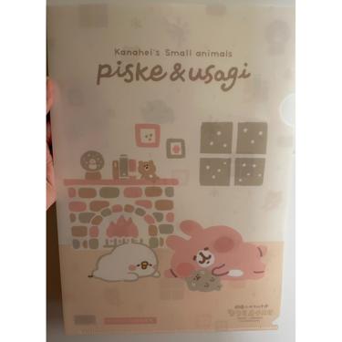 【日本文具】A4 File
