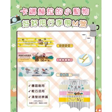 【台灣】行李束帶(M)-20吋以上