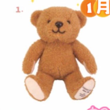 【日本熊館】伊豆30週年限定
