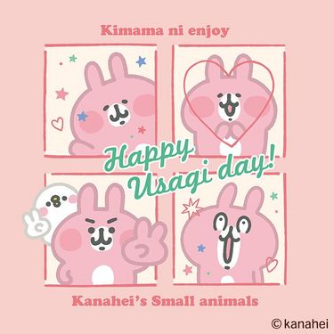 【日本】兔兔生日限定
