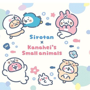 Sirotan x Kanahei 聯乘系列 Popup 品