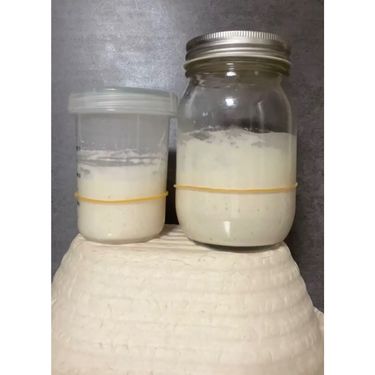 酸種麵包初級體驗