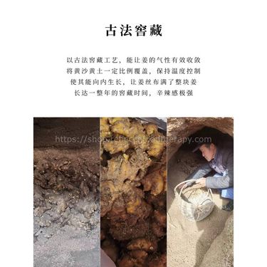 【金黃色的寶石 👑】三製老薑片 (一罐)