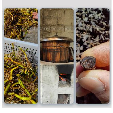 【話你陰虛就飲啦🤗】秋冬潤燥美肌野生玉竹茶 (一罐)