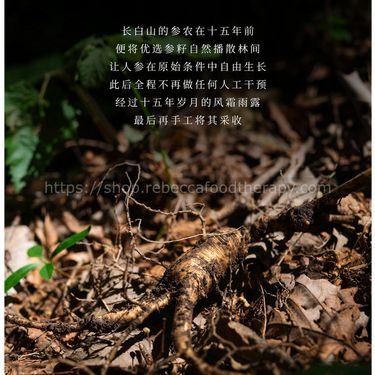 限時買2盒送一支 $330 黃芪蜜‼️【貴婦補氣提神飲 🤭】人參濃縮飲品 (一盒獨立包裝)