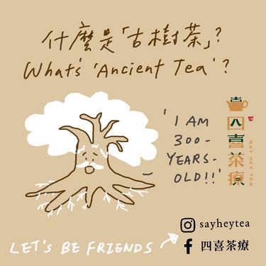 限時特價‼️ 花果香氣 野生古樹紅茶 (100g)